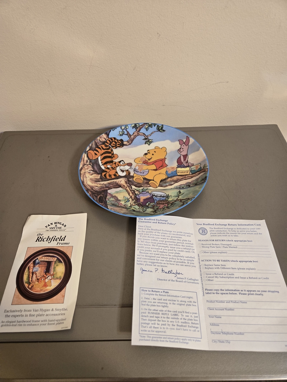 Vintage Disney Winnie the Pooh Friendship is as Sweet as Honey Collector Plate